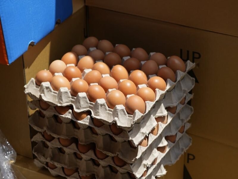 Vertical stack of fresh brown eggs in cardboard trays surrounded by boxes.