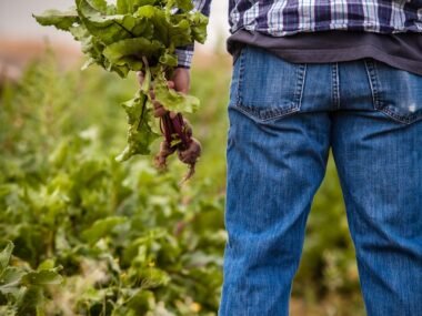 man holding beetroots during daytime